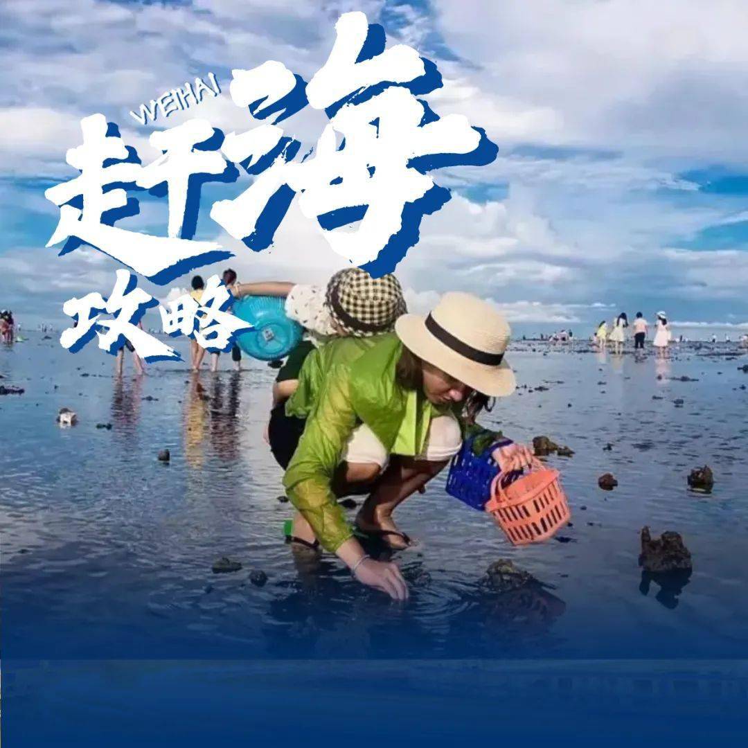 赶海最新探索，海洋的无穷魅力揭秘