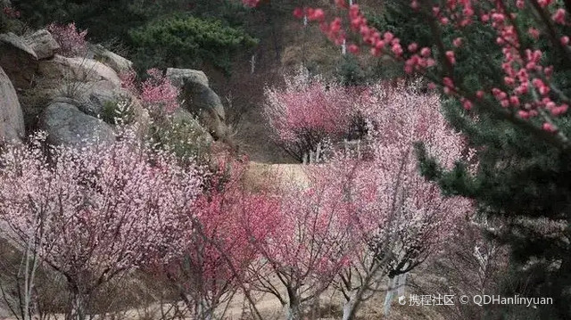 十梅庵，历史与现代的完美融合新风貌