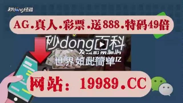 2024年新澳门天天开彩免费资料,科学分析解释定义_专家版45.269