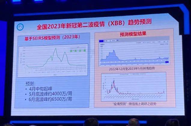 2024年11月份新病毒,深入执行方案设计_标准版34.696