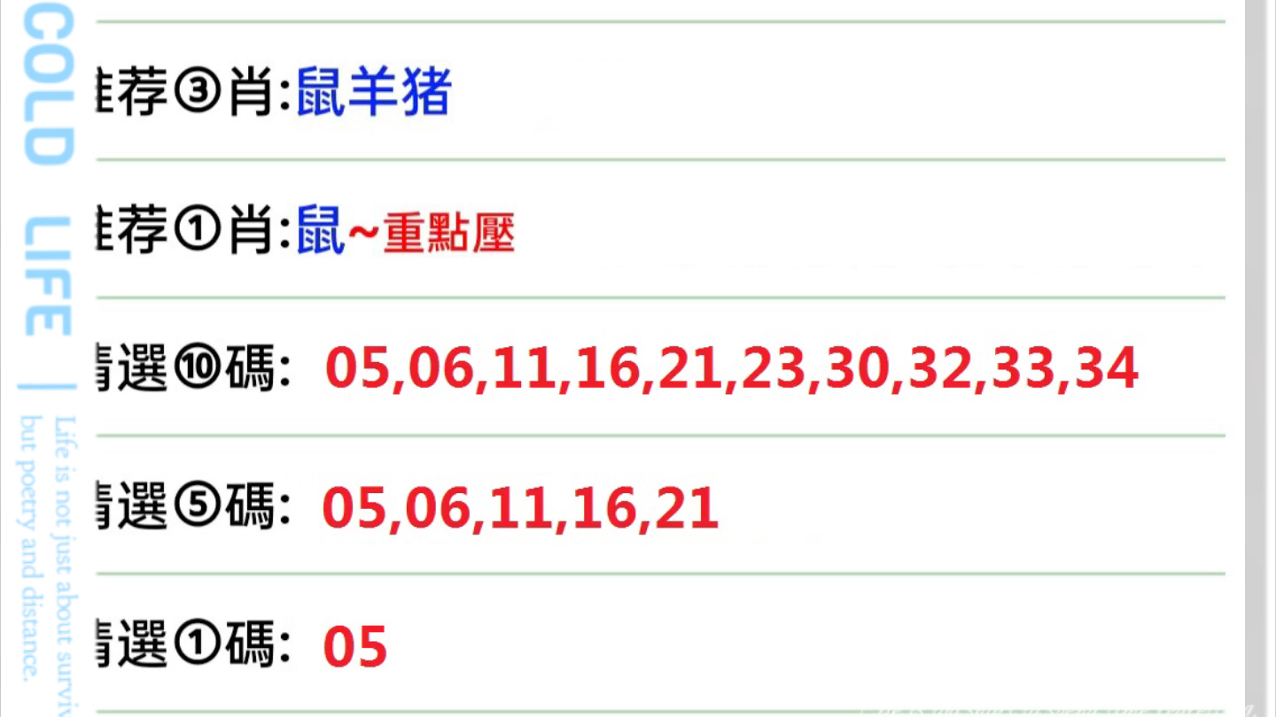 澳门六开彩2024生肖图,全面理解执行计划_模拟版62.245