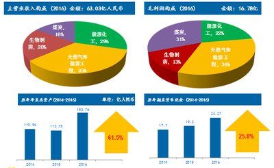 2024年新奥梅特免费资料大全,全面数据策略解析_薄荷版19.115