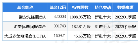 诺安最新持仓深度解析