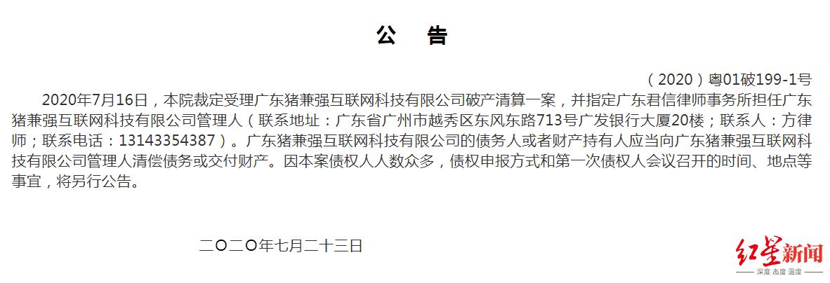 最新猪兼强，引领畜牧业创新，塑造可持续未来