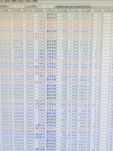 216677新奥彩,高效策略设计解析_S13.727