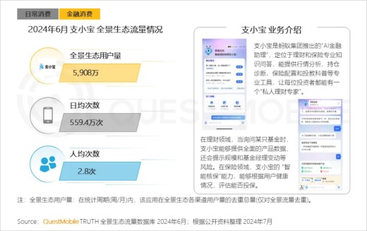 2024新澳精准资料免费提供网站,最佳选择解析说明_标准版6.676