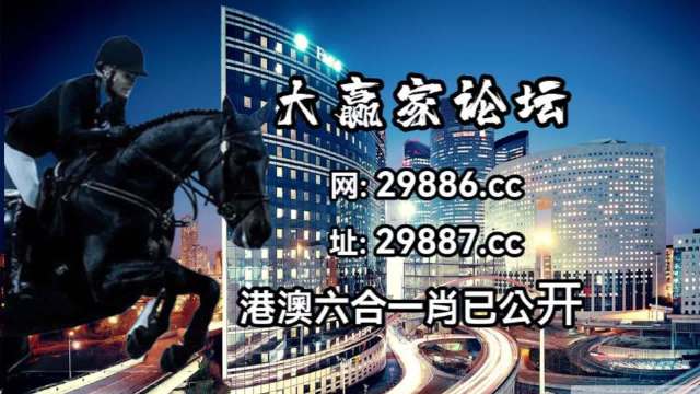 2024年12月8日 第11页