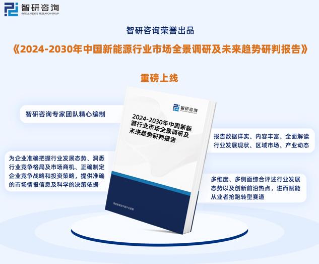 2024新澳精准正版资料,数据驱动实施方案_Q60.379