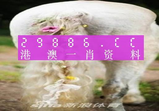 2024年一肖一码一中一特,准确资料解释落实_Android256.183