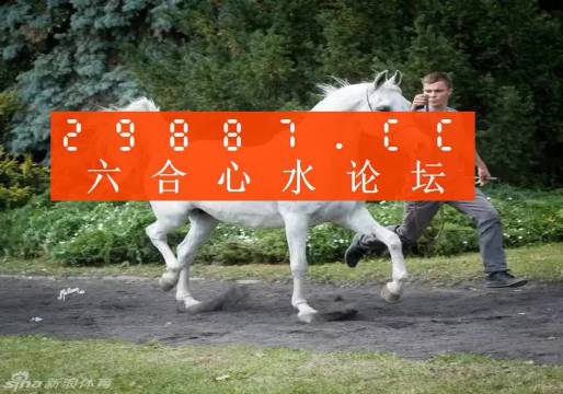 7777788888新版跑狗图,创新解析执行_视频版78.236