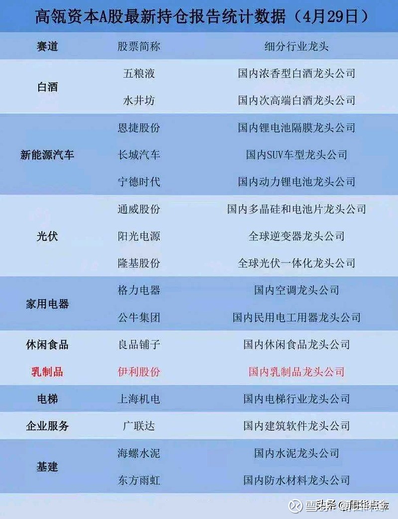 高岭资本最新动态，前沿科技领域的深度洞察与战略布局揭秘