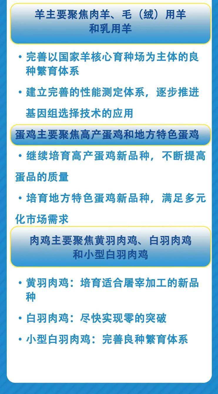 管家婆资料精准一句真言,全面理解执行计划_标准版90.65.32