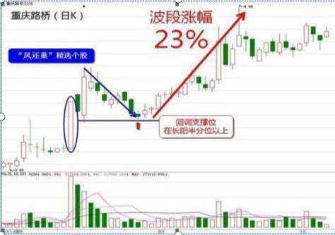 新奥门特免费资料大全火凤凰,可靠性方案操作策略_Chromebook96.807