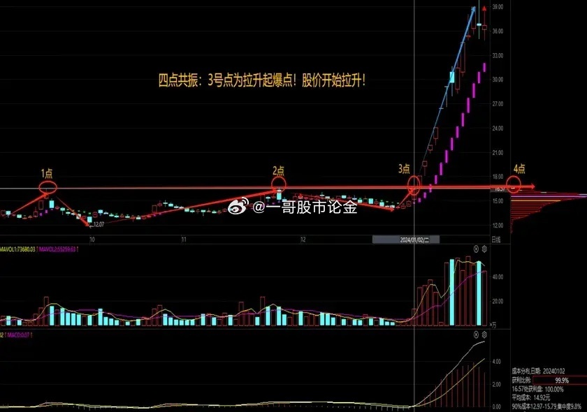 澳门二四六天天免费好材料,全面数据策略解析_Max79.159