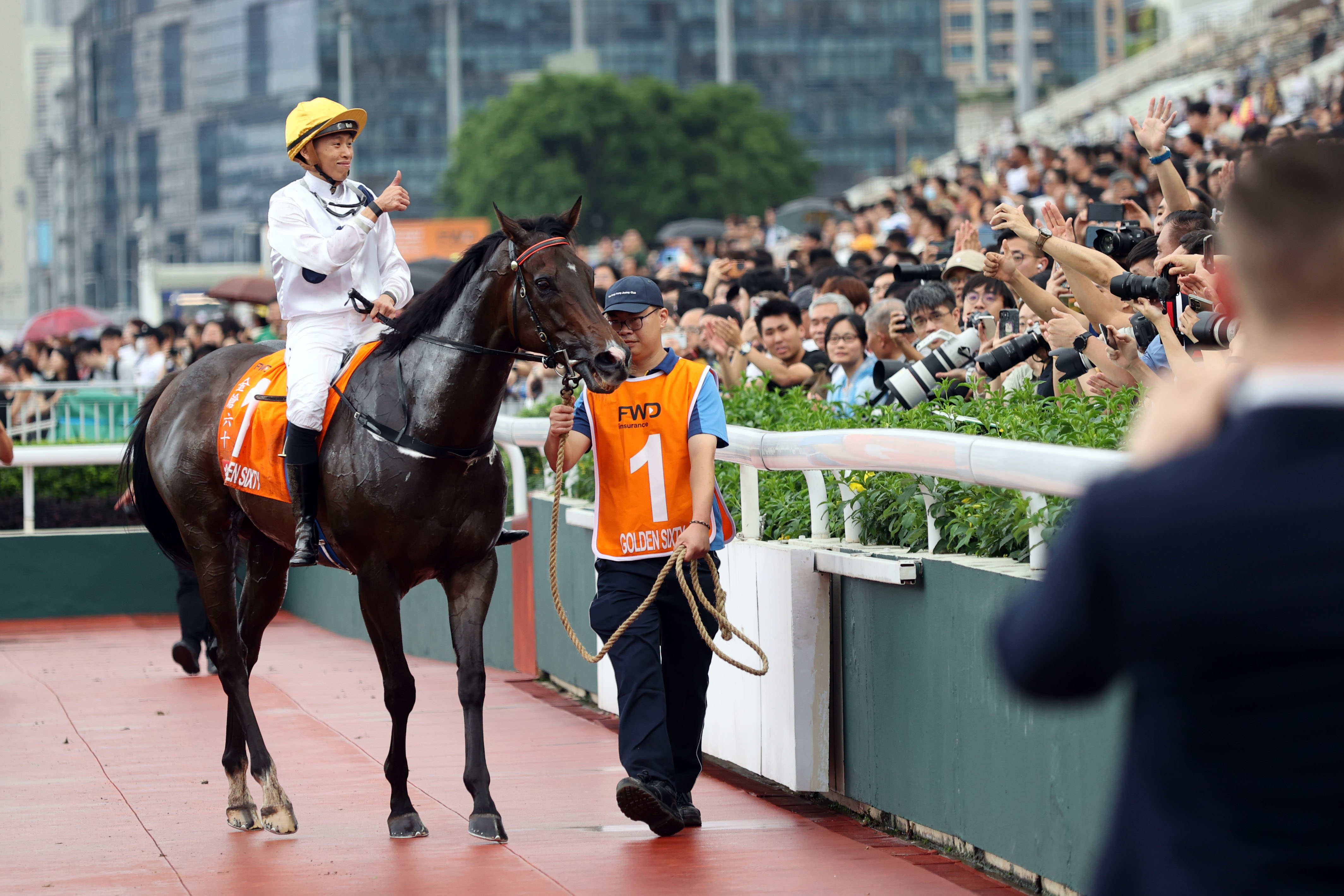 2024香港赛马全年免费资料,灵活执行策略_Executive66.534