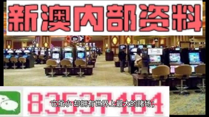 2024新澳精准正版资料,灵活操作方案_SP97.694