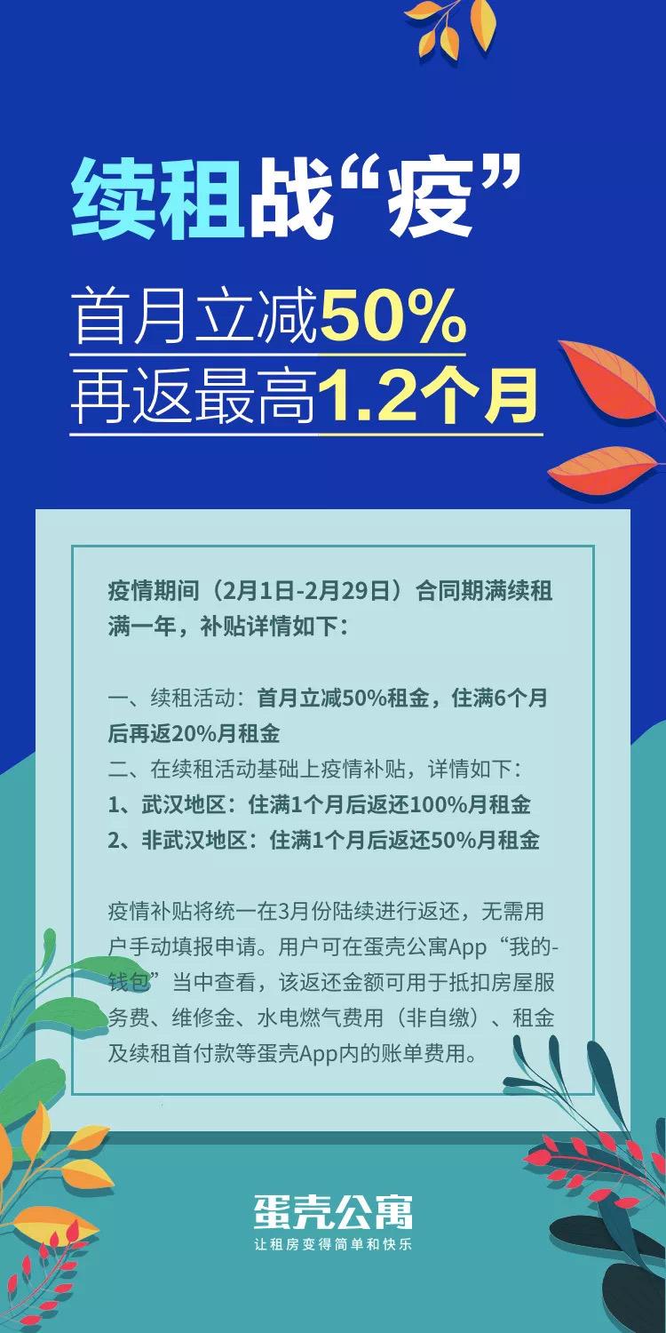 蛋壳最新动态，引领行业变革，探索未来之路