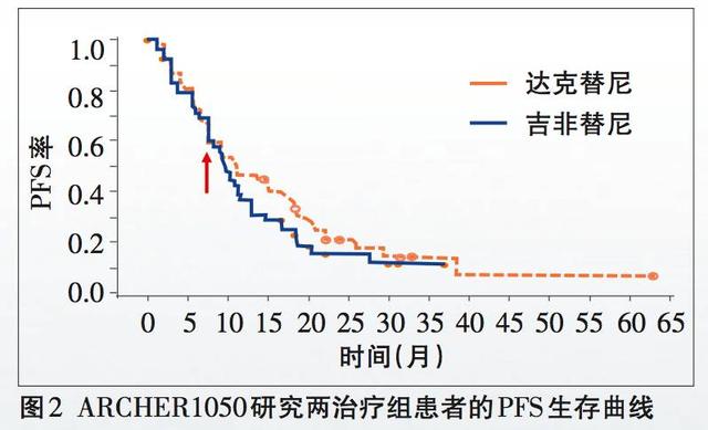 新澳2024年精准特马资料,创造力策略实施推广_高级款49.184