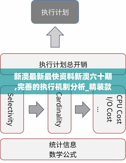 新澳最新版精准特,快速响应执行策略_2DM47.38