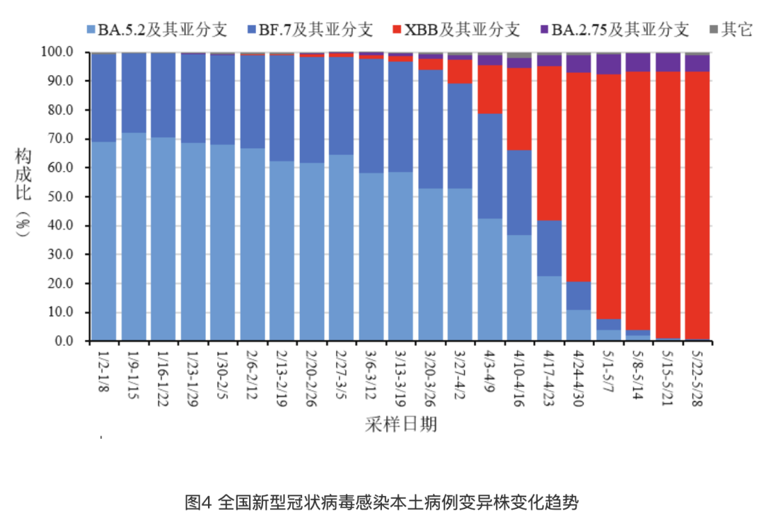 新冠病毒2024年最新消息,深层策略执行数据_GT46.175