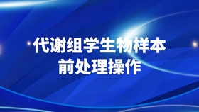 新奥最快最准的资料,效率资料解释落实_MR46.732