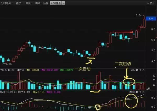 一码一肖100%精准生肖第六,高效执行计划设计_R版48.112