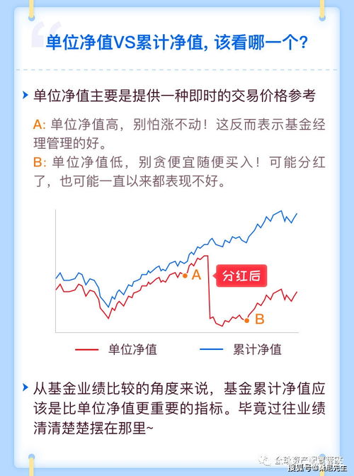 最新净值的意义与解读，金融投资关键指标深入剖析