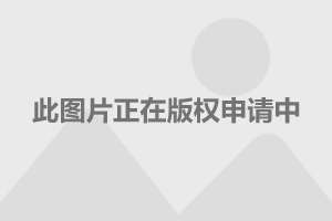 金多宝传真内部绝密资料,灵活解析执行_CT95.851