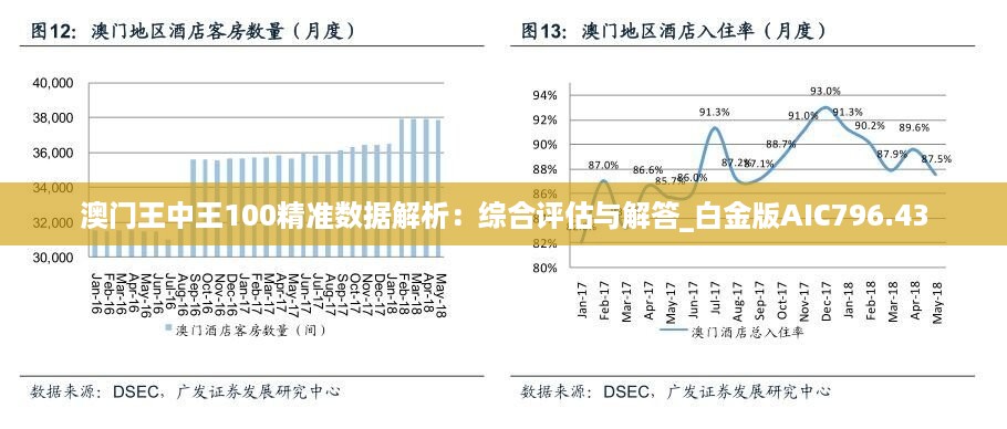 新澳门王中王100%期期中,定制化执行方案分析_The51.450