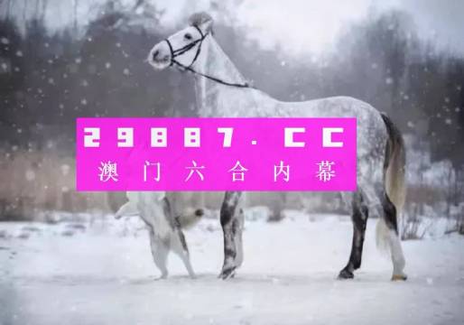 澳门正版一肖一码,数据支持执行策略_GT41.773