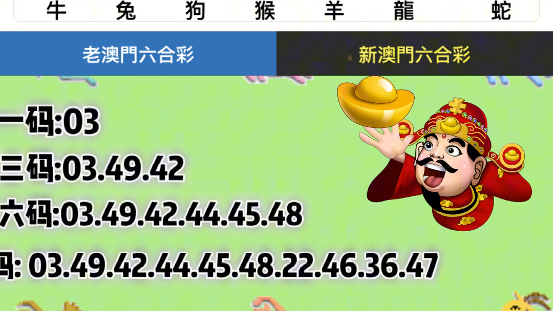 新澳门六开奖号码记录33期,专家意见解释定义_影像版54.875