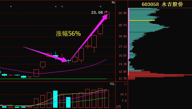 77777788888王中王中特亮点,可靠评估说明_标配版97.631