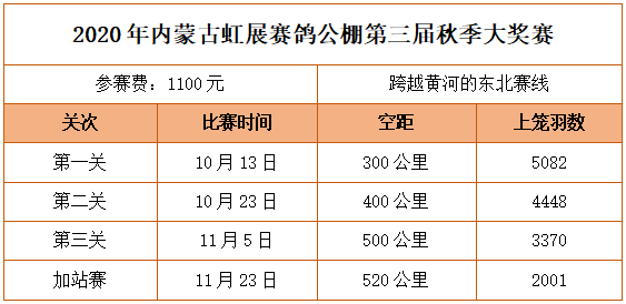 2024新澳门今天晚上开什么生肖,稳健性策略评估_特别版62.884