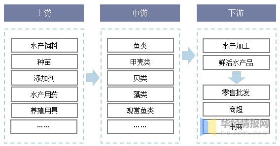 2024最新奥门免费资料,结构化评估推进_8K74.138