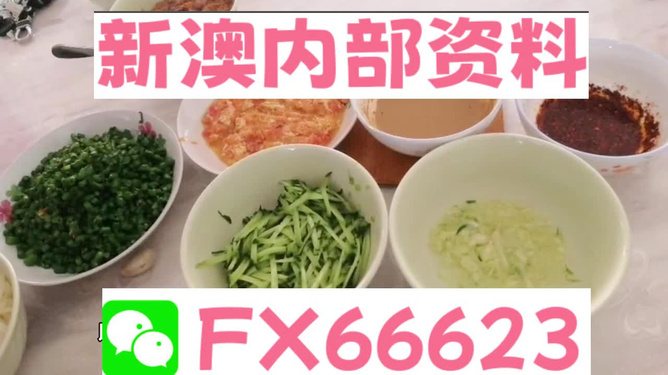 新澳资料正版免费资料,动态解析说明_2DM91.378