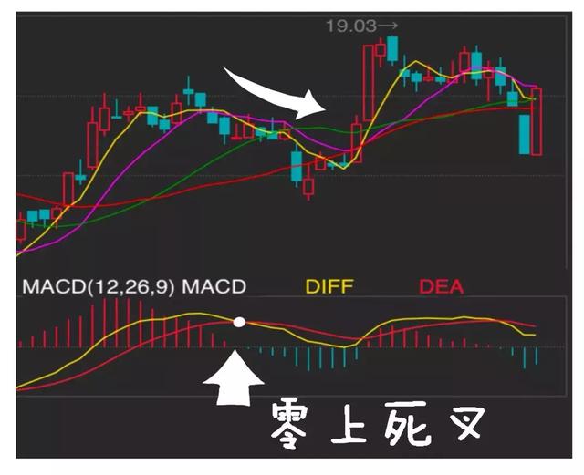 2024新澳免费资料跑狗图,最佳精选解释落实_专业版81.773