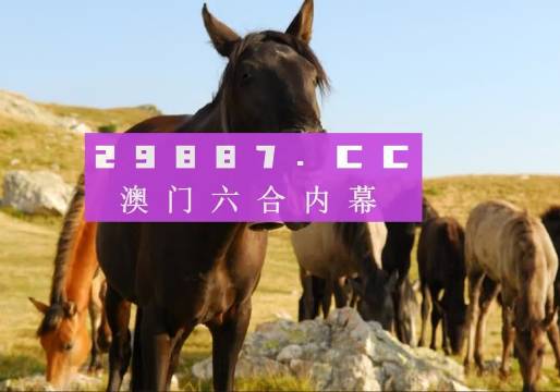 果当代 第21页