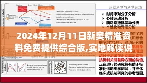 2024新瑰精准正版资料,经典案例解释定义_AR17.605