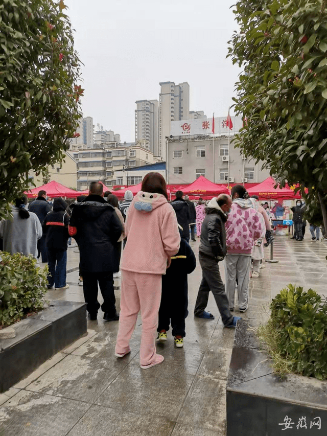 颍上最新疫情，挑战与应对策略