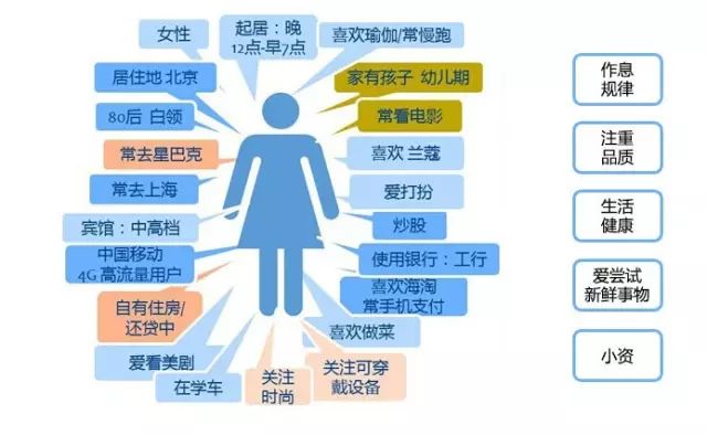 2o24澳门正版精准资料49马,实地执行数据分析_YE版38.772