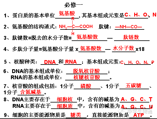 这种文 第5页