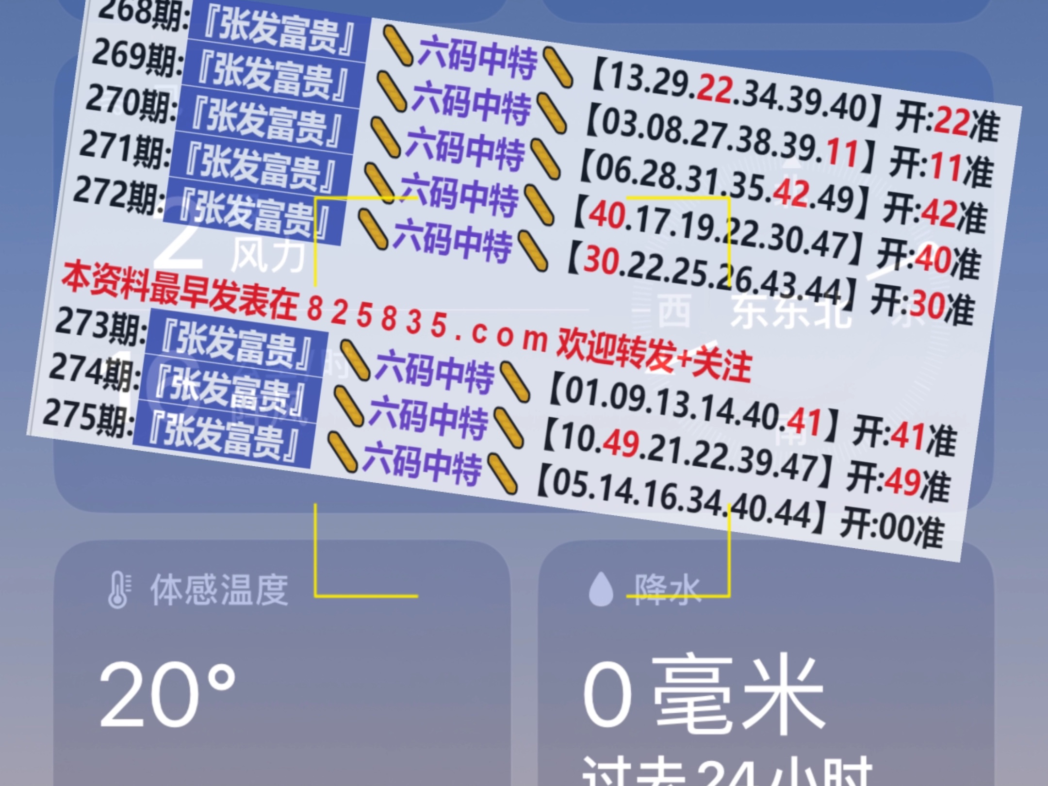 新奥门六开奖结果2024开奖记录,深入执行数据应用_复刻版39.702