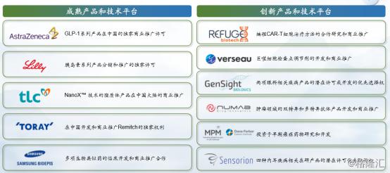 2024新澳今晚资料鸡号几号,深度解析数据应用_iPad44.626