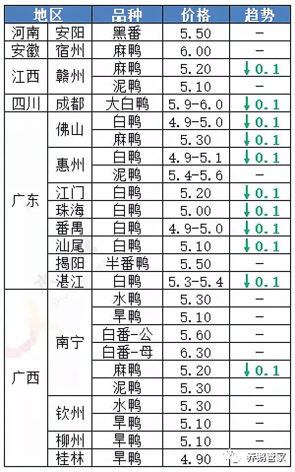 全国毛鹅价格最新行情解析