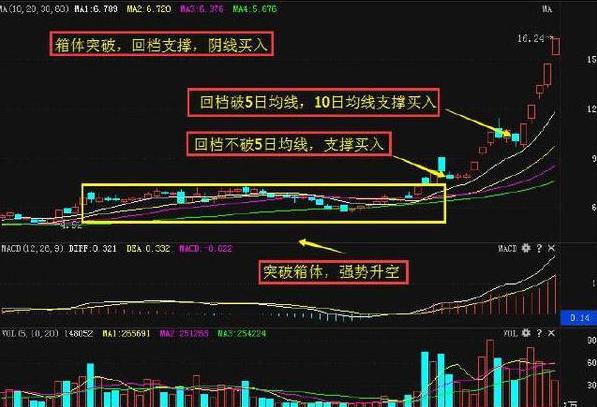 罗顿发展股票最新消息深度解读报告