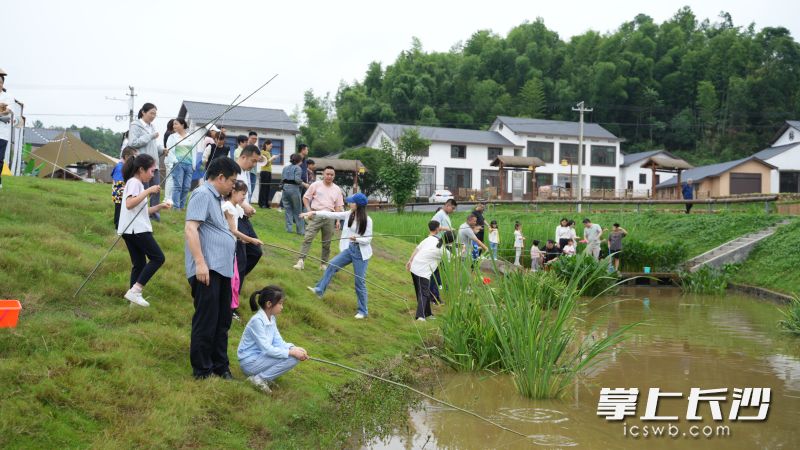 长沙县福临镇最新发展动态及未来展望